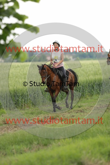 MAT_6700.JPG