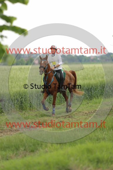 MAT_6701.JPG