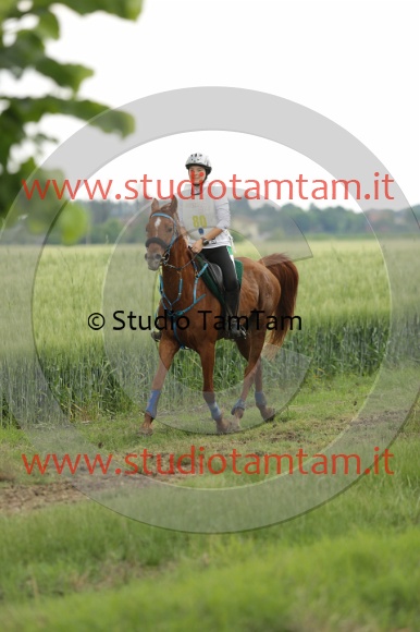 MAT_6702.JPG