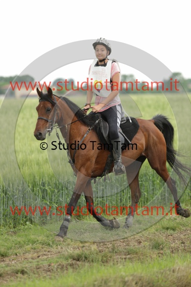MAT_6705.JPG