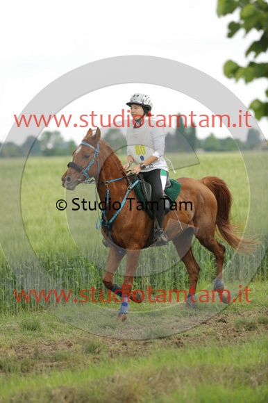 MAT_6706.JPG