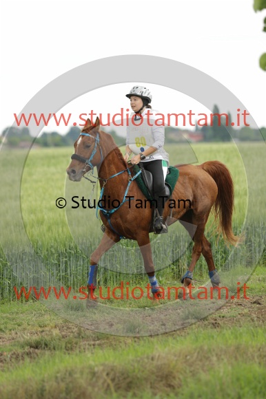 MAT_6707.JPG