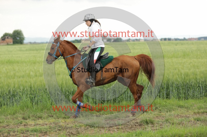 MAT_6715.JPG