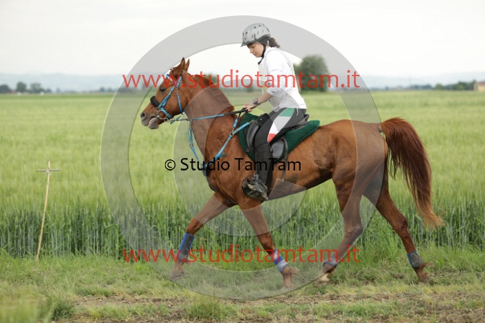 MAT_6718.JPG