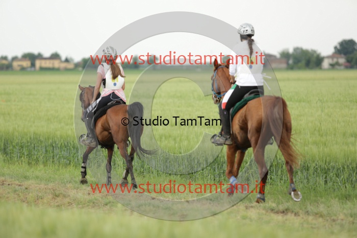 MAT_6721.JPG