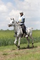 MAT_6074