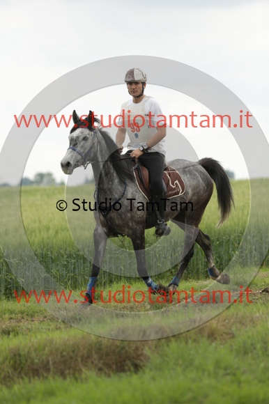 MAT_6305.JPG