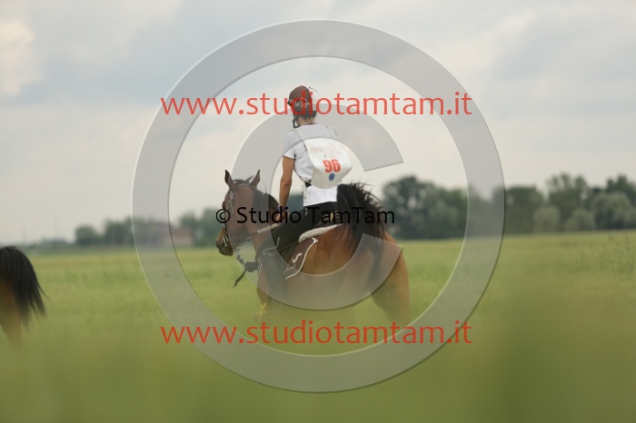 MAT_6326.JPG
