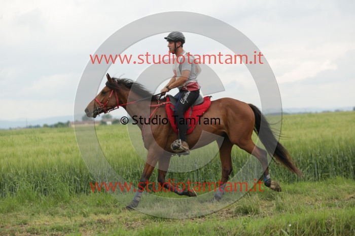 MAT_6347.JPG