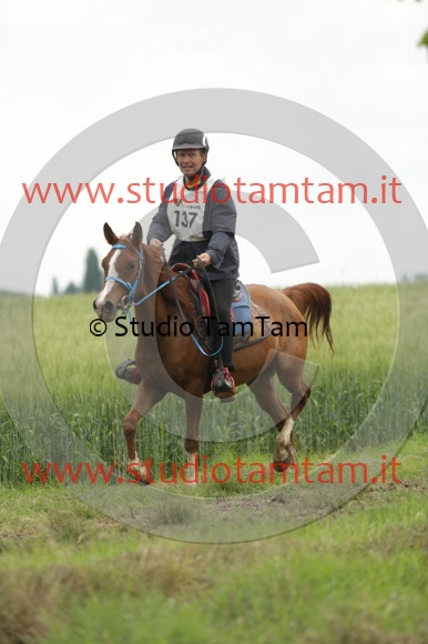 MAT_6373.JPG