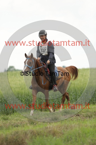 MAT_6374.JPG