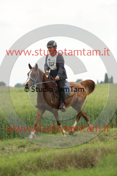 MAT_6376.JPG
