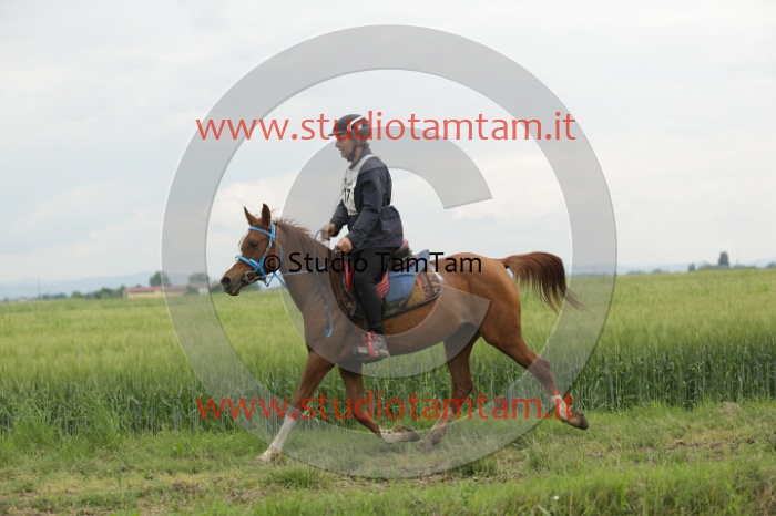 MAT_6378.JPG