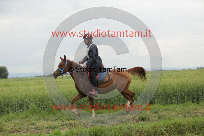 MAT_6379.JPG