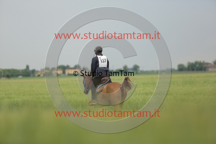 MAT_6398.JPG