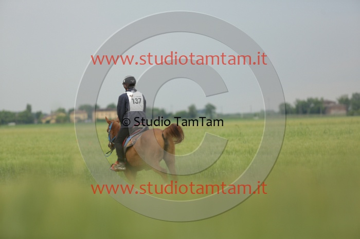 MAT_6399.JPG
