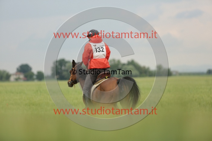 MAT_6402.JPG