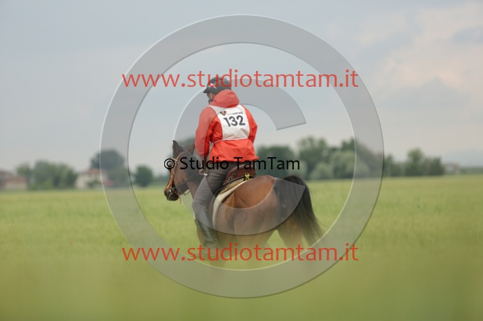 MAT_6403.JPG