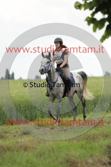 MAT_6417.JPG
