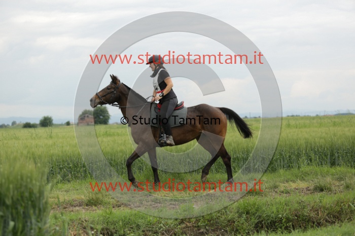 MAT_6419.JPG
