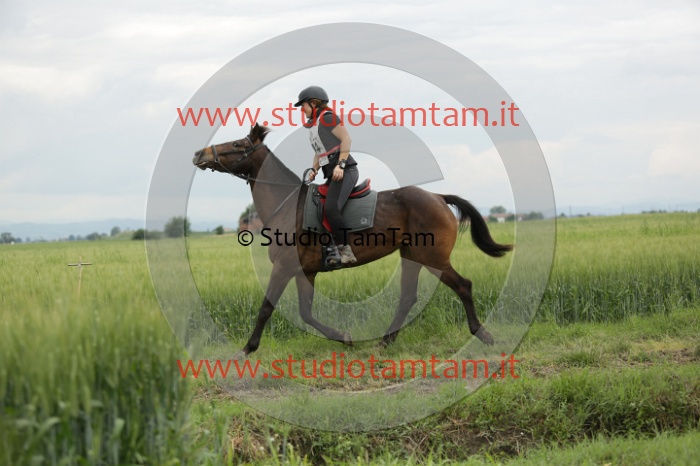 MAT_6420.JPG
