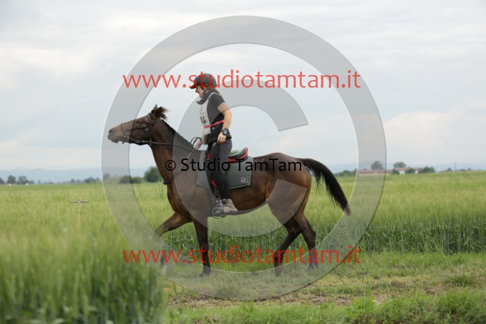 MAT_6421.JPG