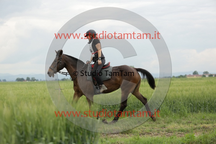 MAT_6422.JPG