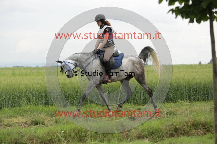MAT_6423.JPG