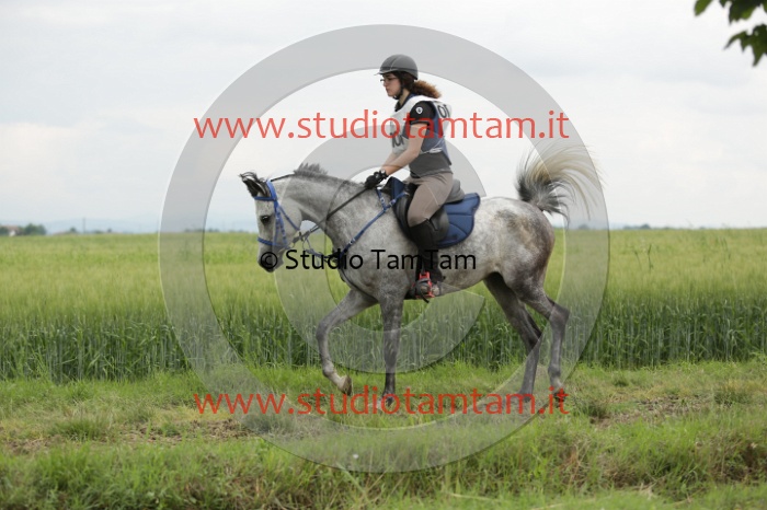 MAT_6424.JPG