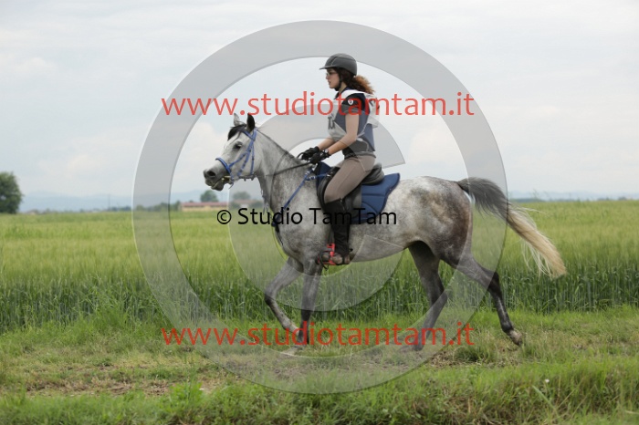 MAT_6427.JPG