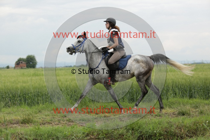 MAT_6428.JPG