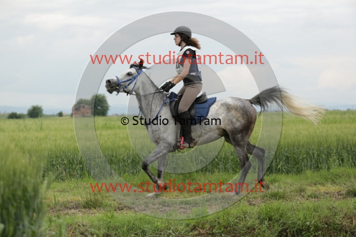 MAT_6429.JPG