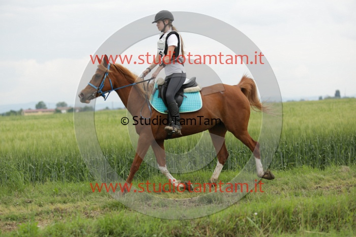 MAT_6436.JPG