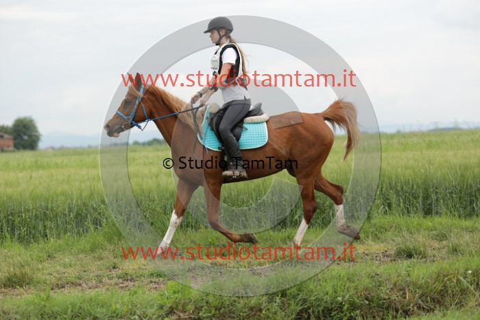 MAT_6438.JPG