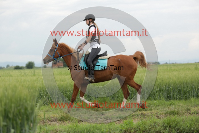 MAT_6440.JPG