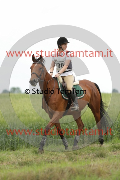 MAT_6458.JPG