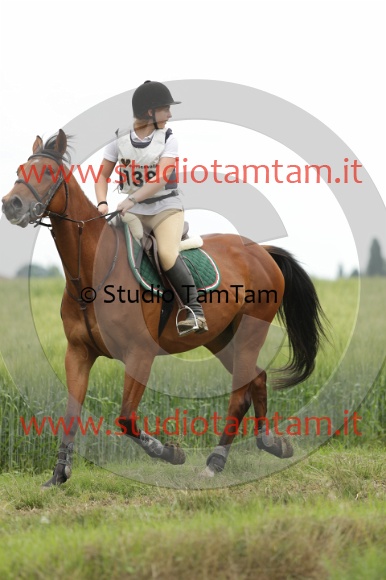 MAT_6461.JPG