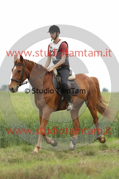 MAT_6463.JPG
