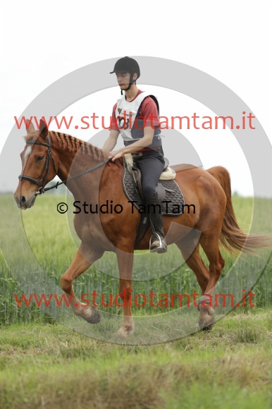 MAT_6464.JPG