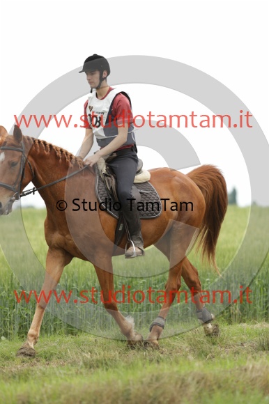 MAT_6465.JPG