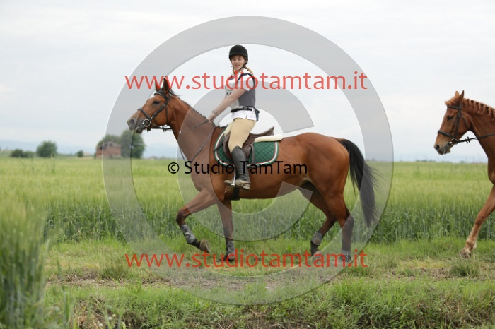 MAT_6467.JPG