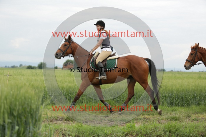 MAT_6468.JPG