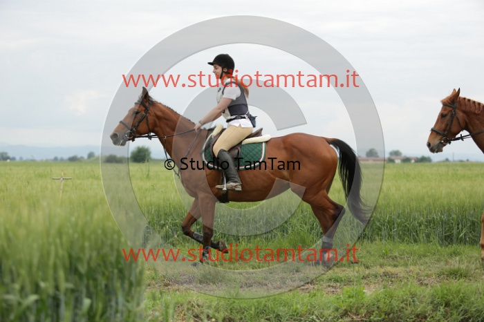 MAT_6469.JPG