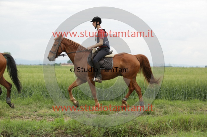 MAT_6471.JPG