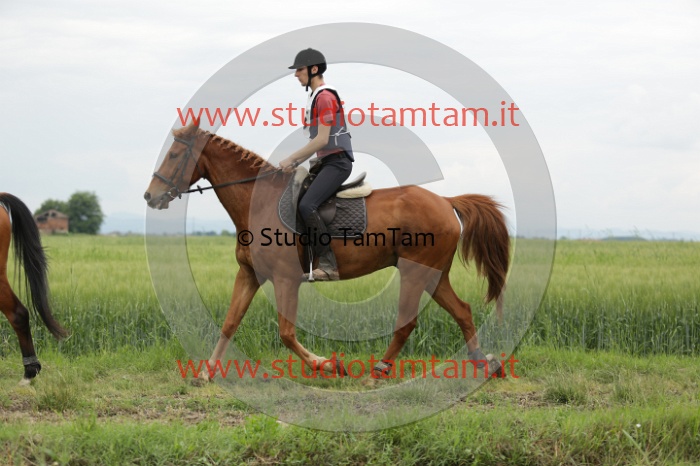MAT_6472.JPG