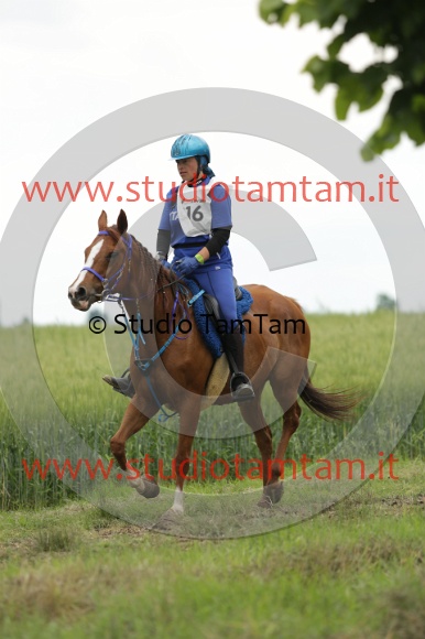 MAT_6493.JPG