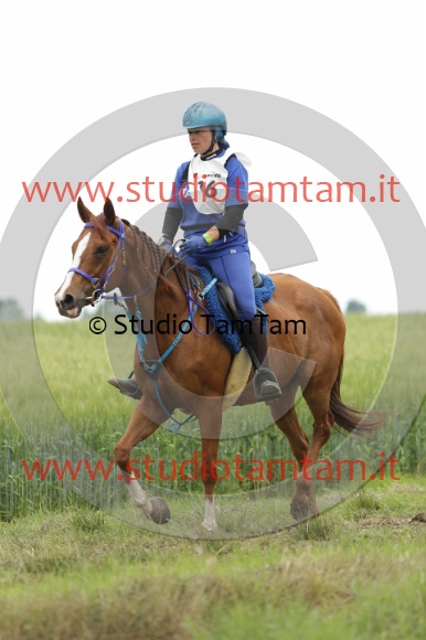 MAT_6494.JPG