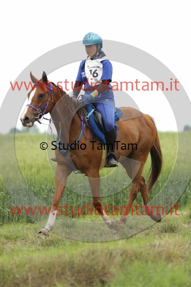 MAT_6495.JPG