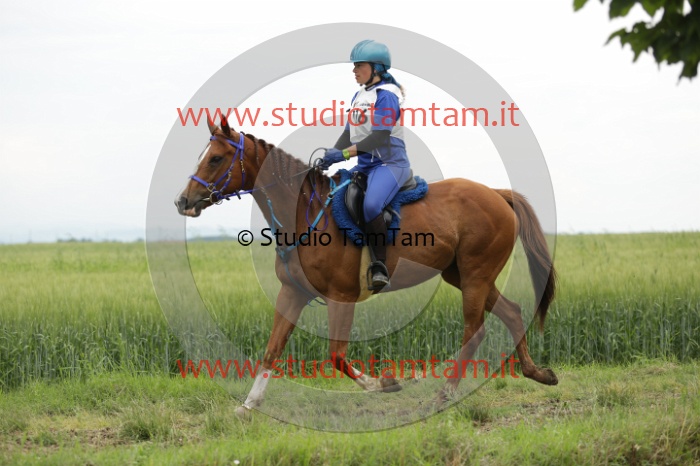 MAT_6497.JPG