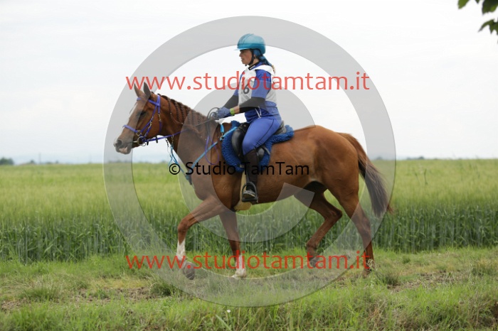 MAT_6498.JPG